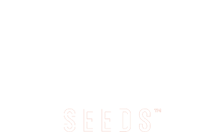 www.mustangseedsmarketing.com